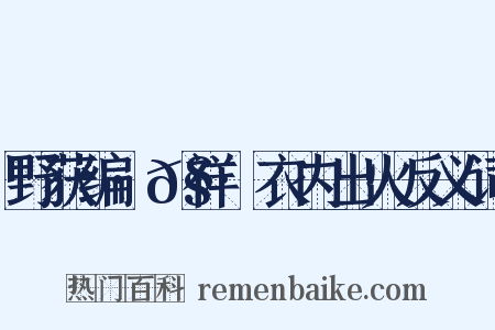 野获编·𧗒祥·衣内出火反义词是什么意思的图片